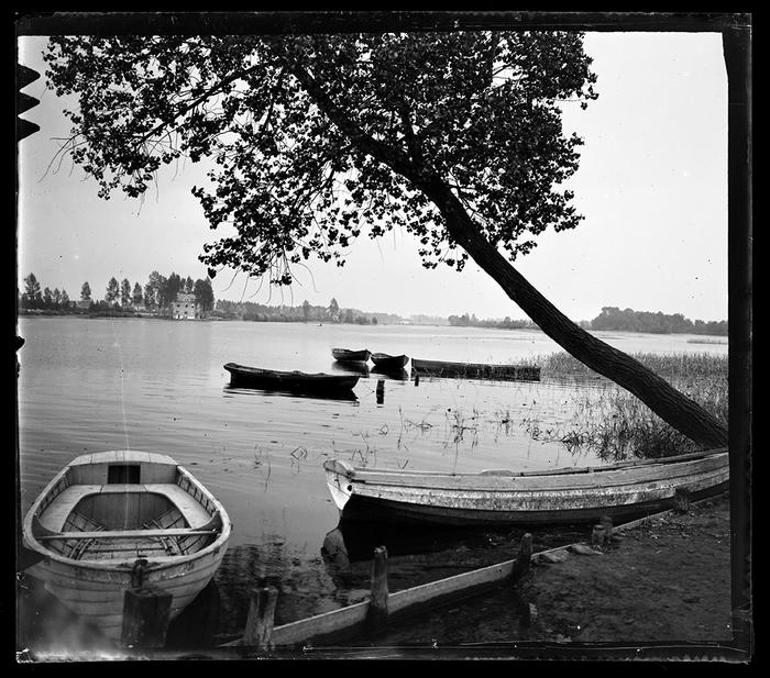 Laarne. Au bord de l'étang